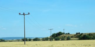 Support our farmers by expanding broadband now wheat-field with telephone wires