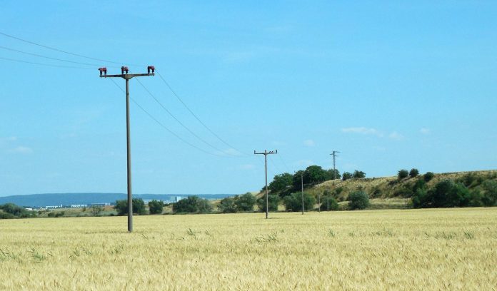wheat-field with telephone wires wheat-field with telephone wires