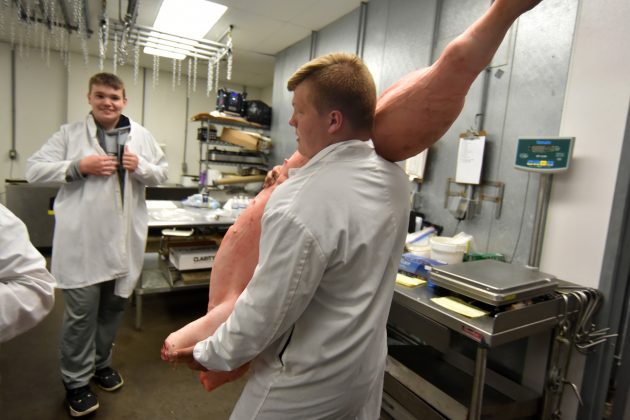 student carries half a hog