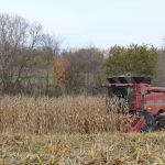 Slow harvest, slow news, weak prices Corn harvest 2016