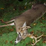 Mark Weber — Nov. 1, 2019 Mark Weber