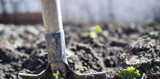A helping of family memories this holiday shovel