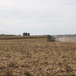 A combine harvesting corn.