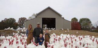 The Kisamore family and their turkeys.
