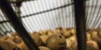 How to entertain the guests who are not into football on Thanksgiving bingo balls