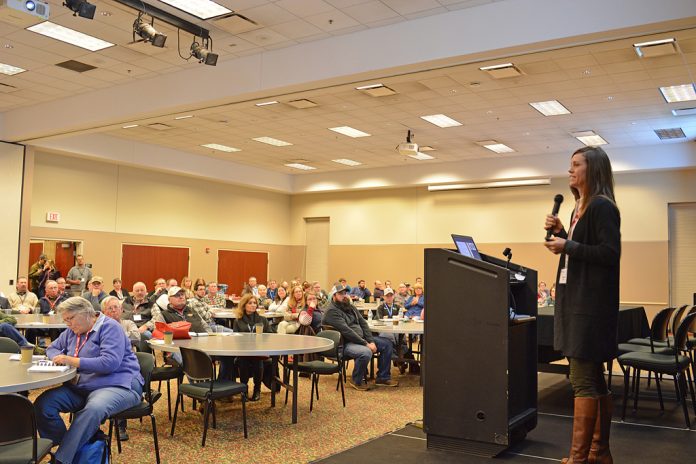 SheepBuckeye19BrockCrowd_edited Sandi Brock