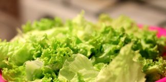 How to know if your lettuce is safe to eat lettuce