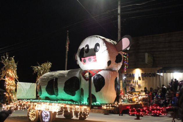 holstein made from round bales