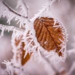 No coat, no shoes November winter