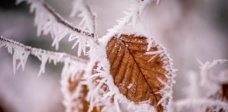 No coat, no shoes November winter