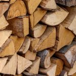 How to control pests in firewood wood