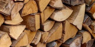 How to control pests in firewood wood