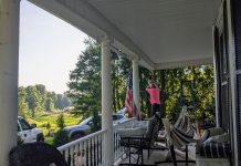 For the birds Kym Seabolt's porch repair