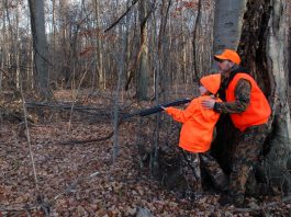 Ohio’s deer population is ‘just right’ Hunters