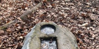 Beaver Township rock