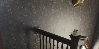 Wolves with power tools Kym Seabolt's bathtub in the hallway