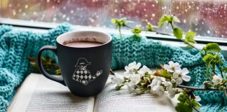 hot cocoa, book, blanket