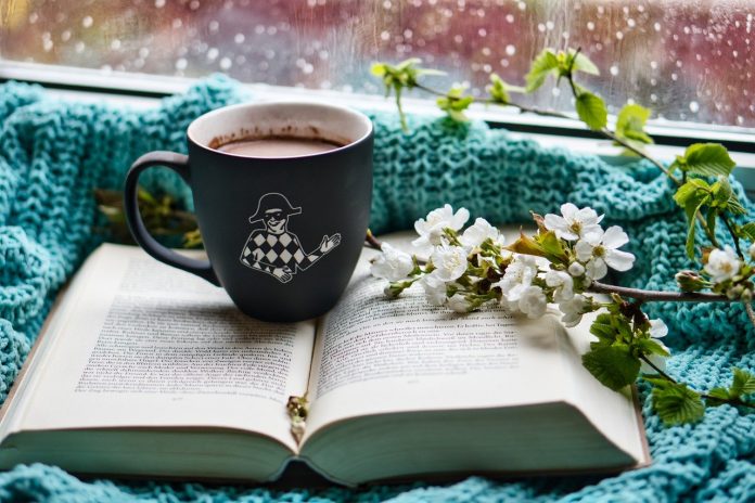 hot cocoa, book, blanket