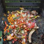 Start a compost bin, save the world compost