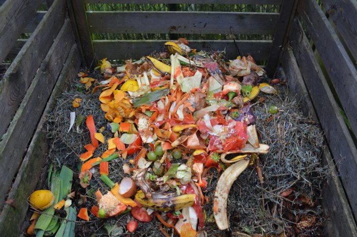 compost compost