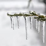 Winter offers beautiful sights, tasty treats ice