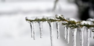 Winter offers beautiful sights, tasty treats ice