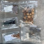 USDA clarifies rules for buying and selling seeds seeds