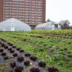Federal urban agriculture committee to focus on access, innovation, equity Crops and greenhouses at an urban farm, in Cleveland.