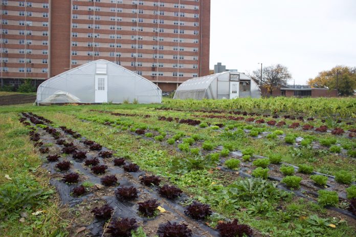 ohio city farm Crops and greenhouses at an urban farm, in Cleveland.