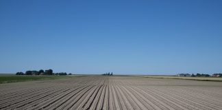 Peters Egbedi receives LACA Scholarship crop rows