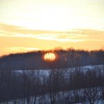 Let me set the record straight winter sunset