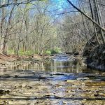 ohio stream