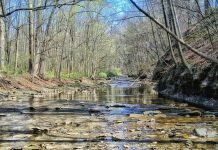 ODNR launches website for accessing groundwater data in Ohio ohio stream