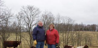 A man in a blue coat and a woman in a red coat stand in a pasture with several shorthorn cattle in the background.
