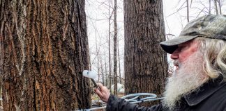 It’s time to tap maple trees at Misty Maples Sugar House