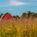 Federal office nixes proposal to update ‘rural’ definition after strong criticism A barn behind a field.