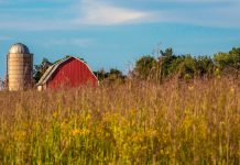 Rural Action focuses on mentorship with beginning farmers in Appalachia A barn behind a field.