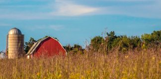 Federal office nixes proposal to update ‘rural’ definition after strong criticism A barn behind a field.