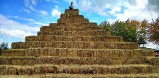 hay pyramid