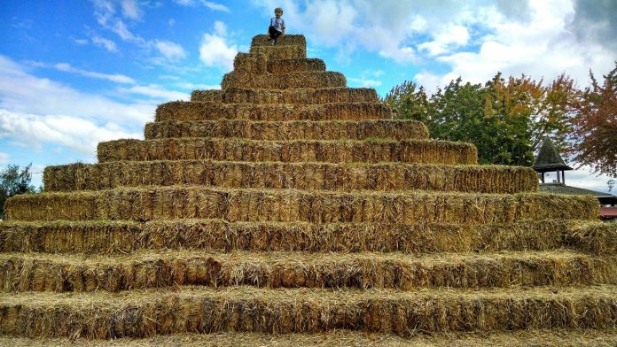 hay pyramid hay pyramid
