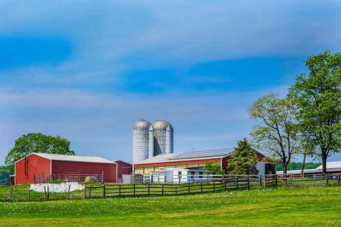 farm A picture of a farm on a sunny day.