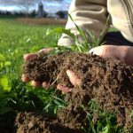 Report: Tillage can be tool in soil health management
