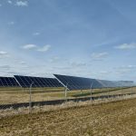 Vegetative cover under solar panels Solar panels