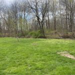 How to plant pear trees to produce fruit two pear trees, an apple tree and a peach tree