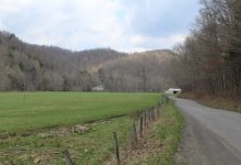 W.Va. governor proposes flat budget, some seek more investment in state A rural road in West Virginia.