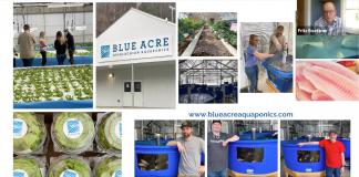 Town hall showcases opportunities for reclaimed mine land blue acre aquaponics screencap