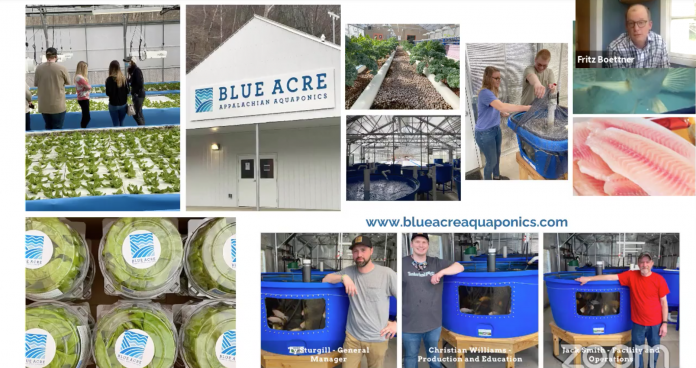 blue acre aquaponics screencap blue acre aquaponics screencap