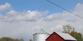The story of a new kind of thriving barn