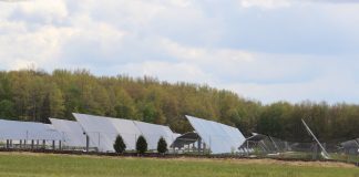 Lawmakers want Ohio electricity production to go carbon-free by 2050 solar panels in a field