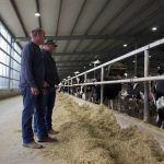 Transparency to public, conservation are key at MVP Dairy Two men stand in a barn in front of a pen of Holstein cows.